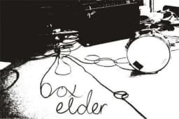 Box Elder