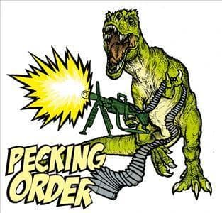 Pecking Order