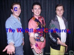 The Woodland Creatures