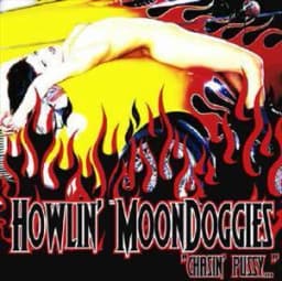 The Howlin MoonDoggies