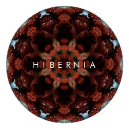 Hibernia