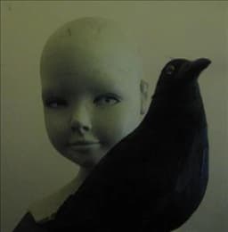 blackbeak