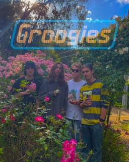 Groogies
