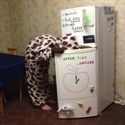 Apple Time