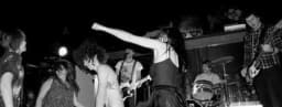 thePunchDrunks