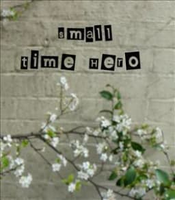 Small Time Hero