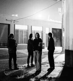 Fragile Animals