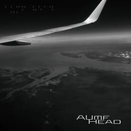 Aumf Head
