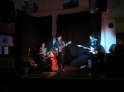 Steel String Revolution