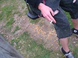 Andy Gorehol