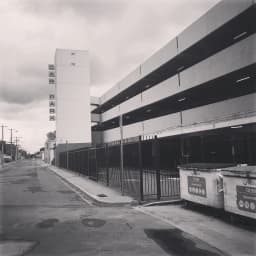 new art society