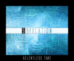 Simulation