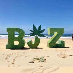 BJZ