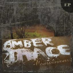 Amber Trace