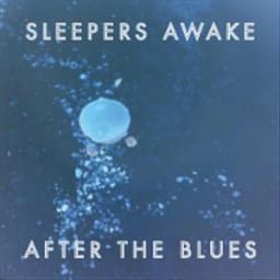 Sleepers Awake