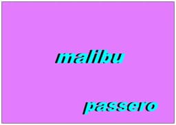 passero