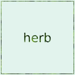 Herb