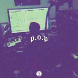 P.O.P