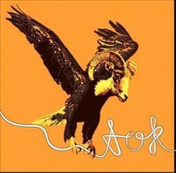 A.O.K.