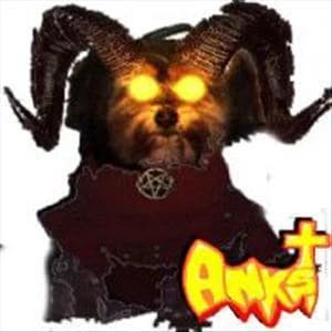Ankst