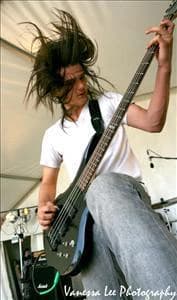 steelar
