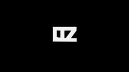 DZ