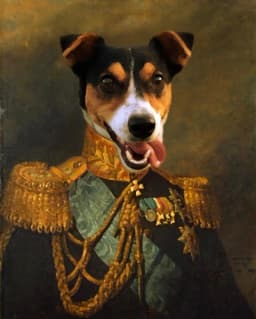 REDNAX LEADER