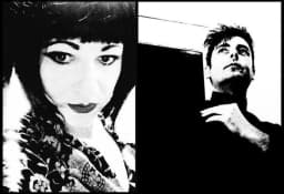 Friends of Alice Ivy