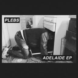 PLEBS