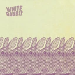 White Rabbit