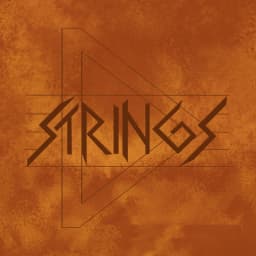 The D Strings