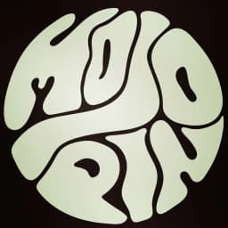Mojo Pin