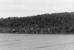 Laquer