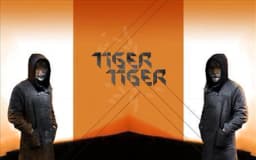 Tiger Tiger