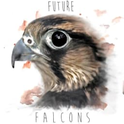 Future Falcons