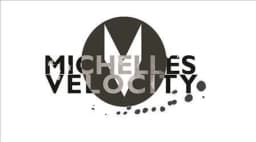 Michelles Velocity