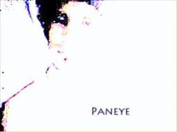 Paneye