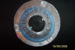 Immortally Wounded-