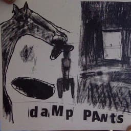 Damp Pants