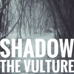 Shadow the Vulture
