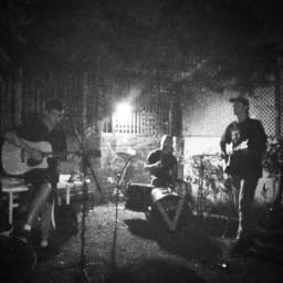 The Suins