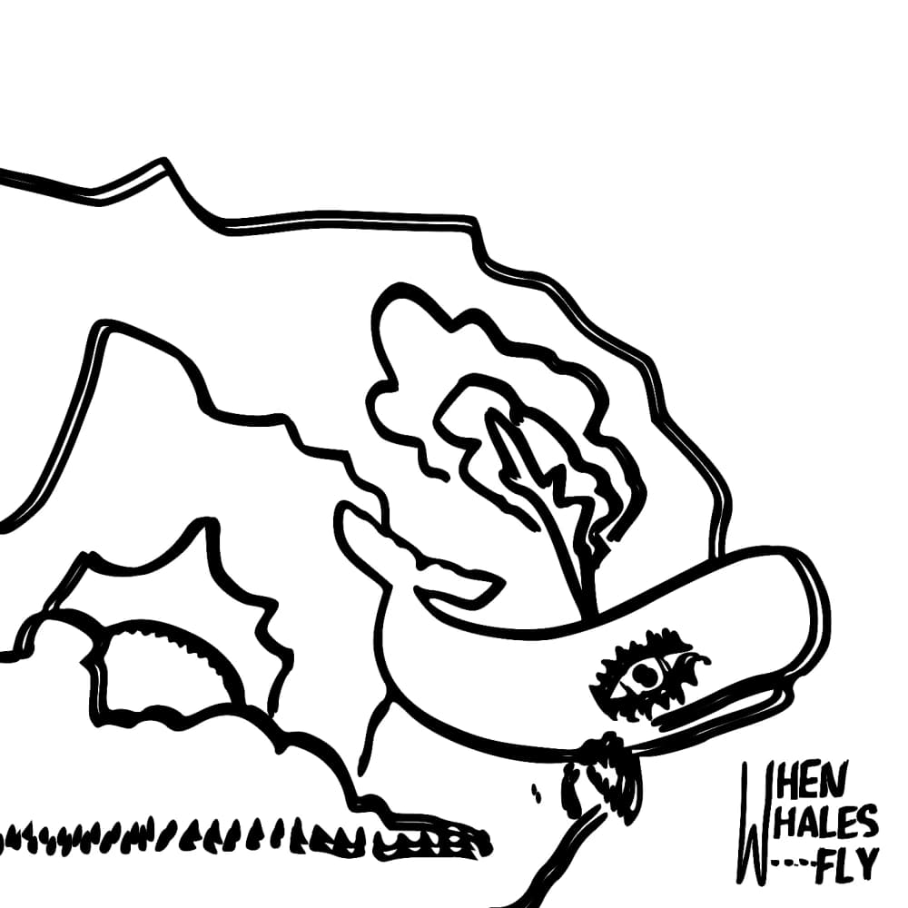 When Whales Fly