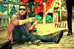 PALLI