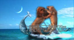 Swim Through Seasons