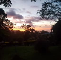 Mr Jones