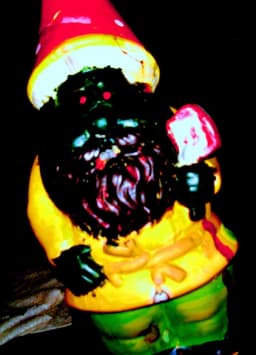 Derek and The Gnomes