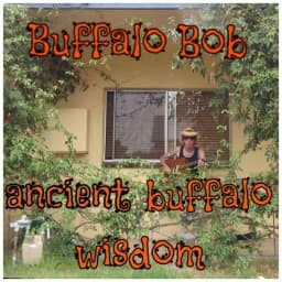 Buffalo Bob