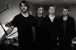 The Ivys