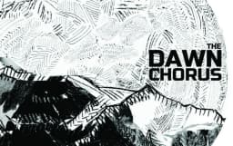 The Dawn Chorus