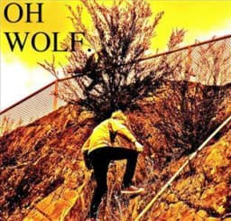Oh Wolf.